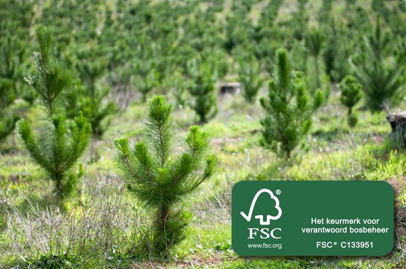 Verlenging FSC certificaat Verlenging FSC certificaat