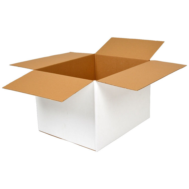 Amerikaanse vouwdozen - 220 x 160 x 130 mm. binnenmaat - enkelgolf - wit/bruin